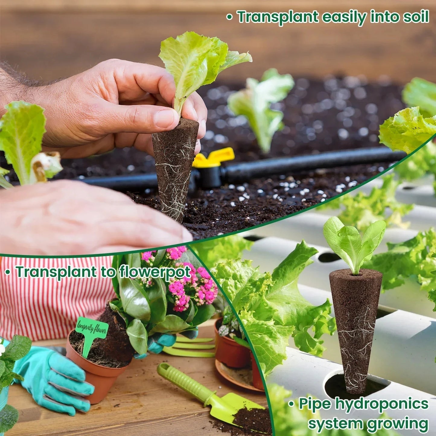 50/100Pcs Seed Grow Sponges Replacement Root Hydroponics Indoor Garden System Sponges Water Absorbent Grow Pod Kit