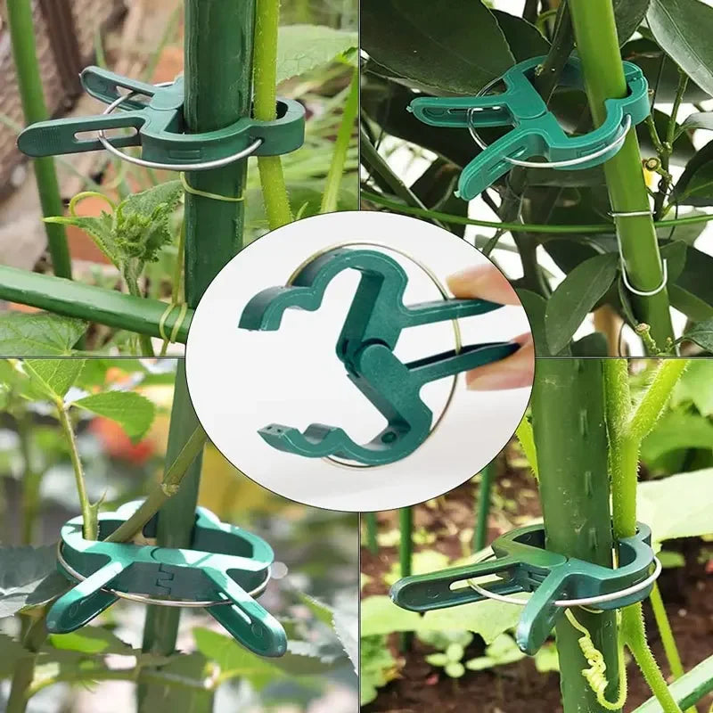 25Pcs Plant Fixed Clips Reusable Garden Greenhouse Bracket for Fixed Plants Vine Flower Seedling Stem Suppor t Garden Supplies