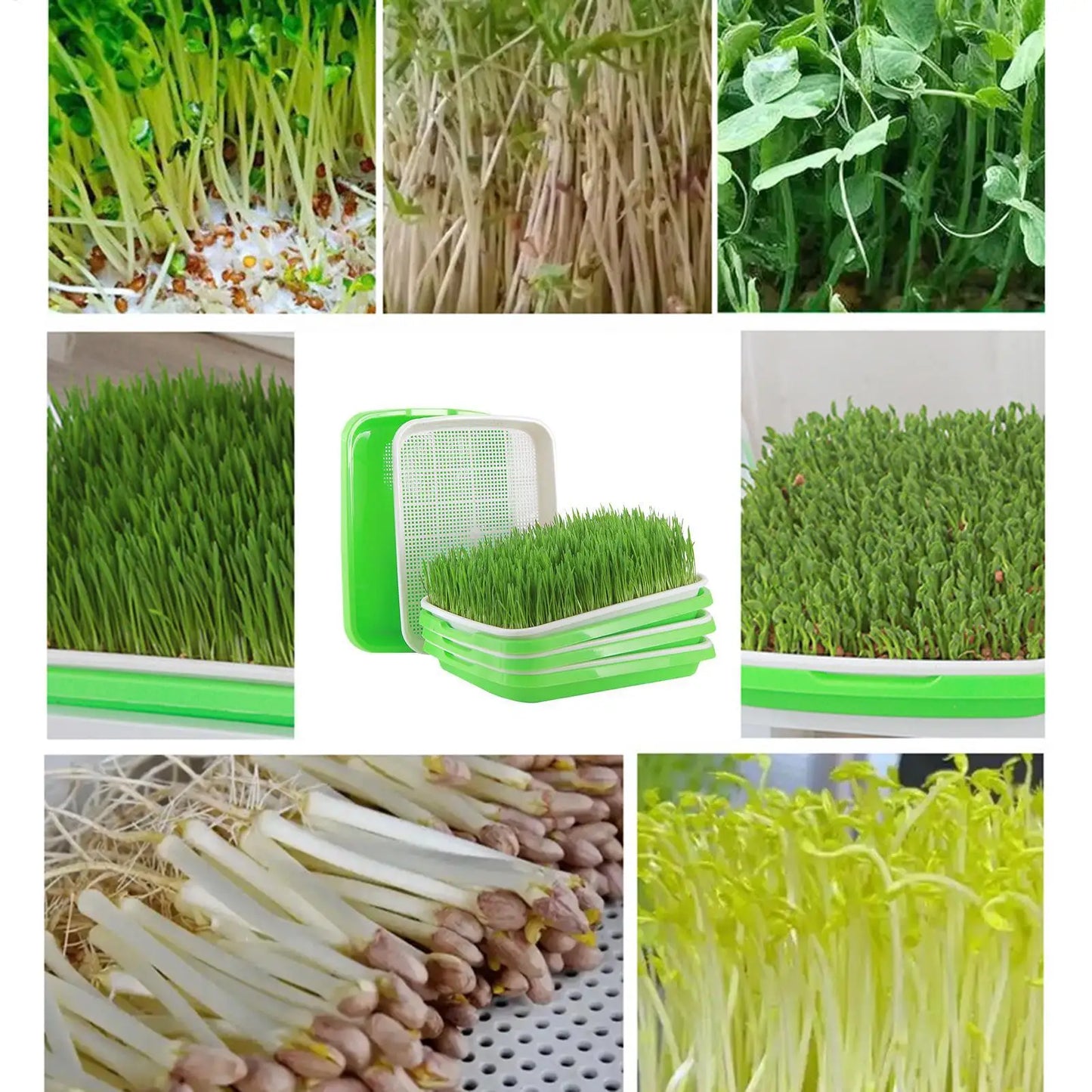 Germination Tray Reusable Plant Tray Hydroponic Propagators For Indoor Gardening Catcher Trimming Breeding Flower Grass Watering