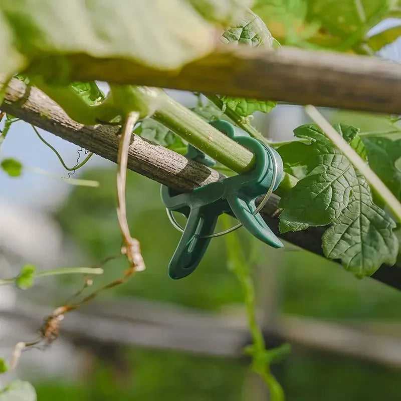 25Pcs Plant Fixed Clips Reusable Garden Greenhouse Bracket for Fixed Plants Vine Flower Seedling Stem Suppor t Garden Supplies