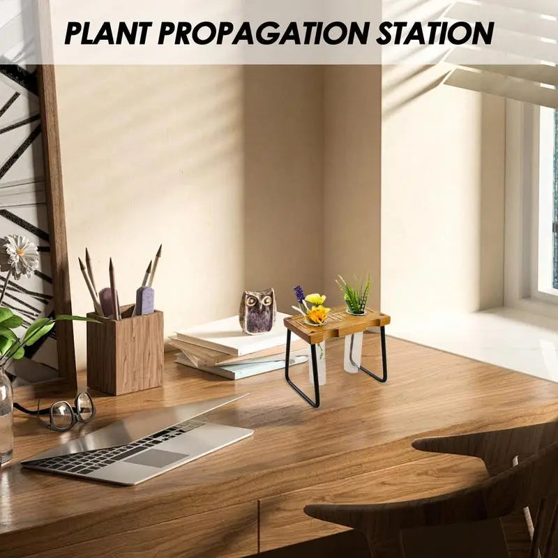 Plant Propagation Station Glass Propagation Station Planter Decorative Gardening Supplies Home Decoration For Studio Desk Shelf