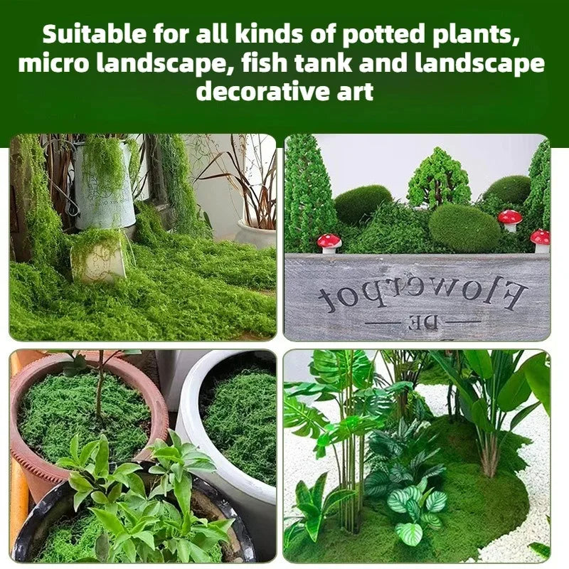 Artificial Green Plants Moss Grass Home Living Room Garden Decoration Mini Landscape Fake Flower DIY Crafts