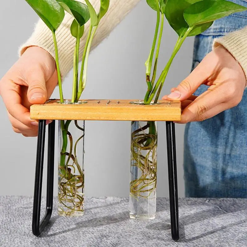 Plant Propagation Station Glass Propagation Station Planter Decorative Gardening Supplies Home Decoration For Studio Desk Shelf