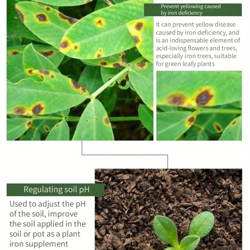 Ferrous sulfate flower acid fertilizer general jasmine flower iron fertilizer rhododendron gardenia special fertilizer