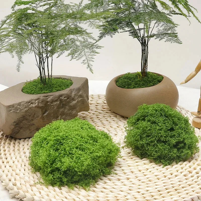 Artificial Green Plants Moss Grass Home Living Room Garden Decoration Mini Landscape Fake Flower DIY Crafts