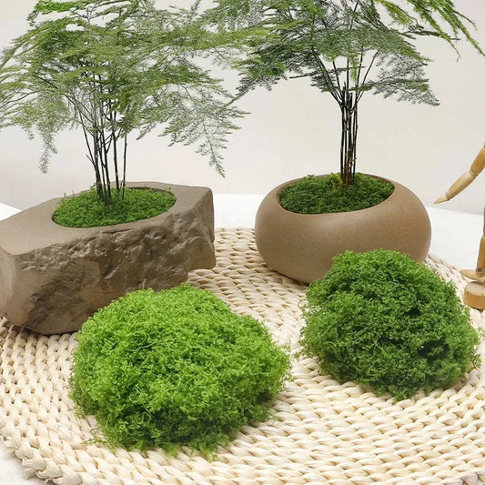 Artificial Green Plants Moss Grass Home Living Room Garden Decoration Mini Landscape Fake Flower DIY Crafts