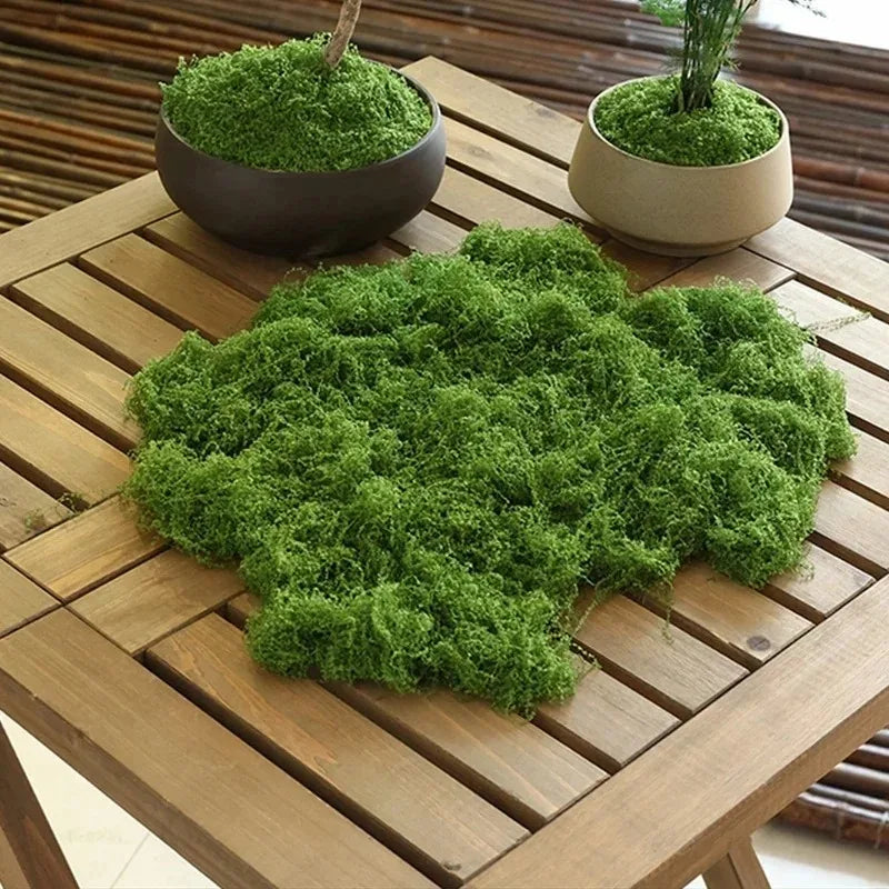 Artificial Green Plants Moss Grass Home Living Room Garden Decoration Mini Landscape Fake Flower DIY Crafts
