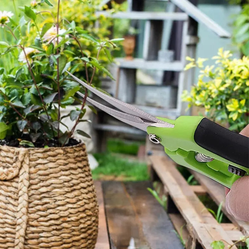 1 Set, Garden Scissors, Garden Pruning Shears, Non - Garden Supply from TinyRootsGrow