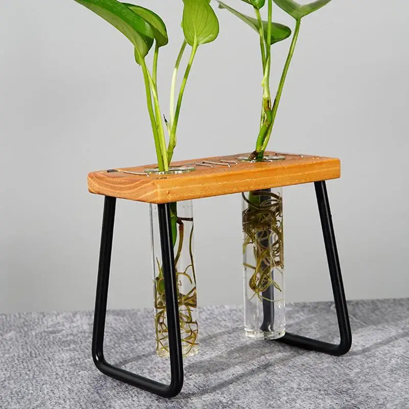 Plant Propagation Station Glass Propagation Station Planter Decorative Gardening Supplies Home Decoration For Studio Desk Shelf