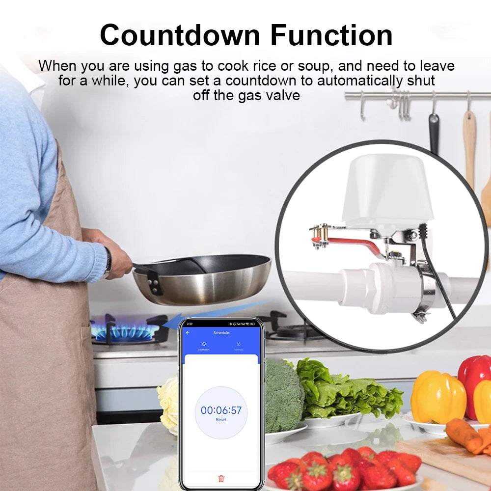 Tuya WiFi Water Valve Gas Shutoff Ball Valve Timer Garden Smart Faucet Controller Support Alexa Google Assistant SmartLife