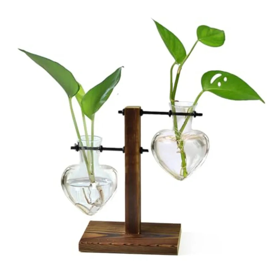Plant Terrarium Wooden Stand Hydroponic Planter Bulb Glass Metal Swivel Holder Retro Air Plants Water Plants for Home Office Dr