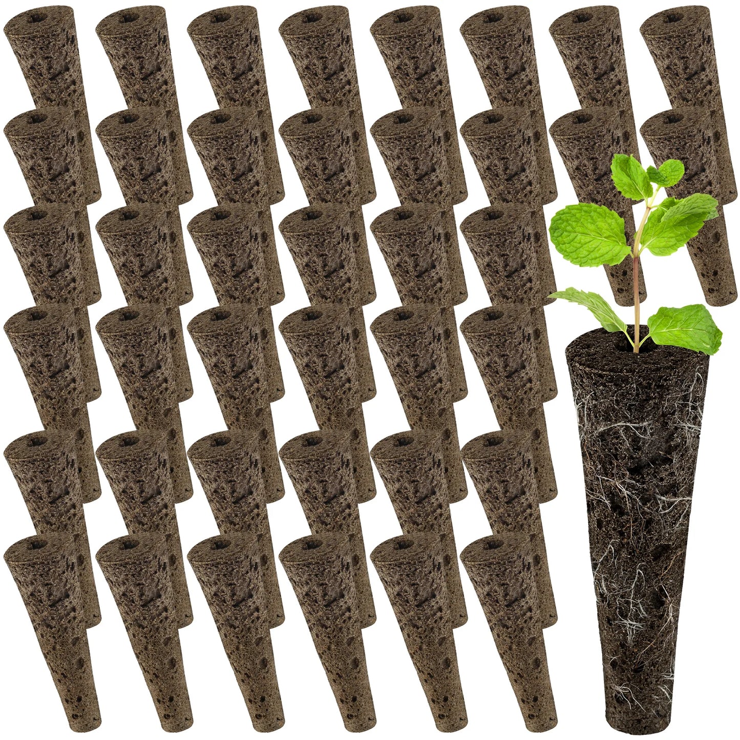 50/100Pcs Seed Grow Sponges Replacement Root Hydroponics Indoor Garden System Sponges Water Absorbent Grow Pod Kit