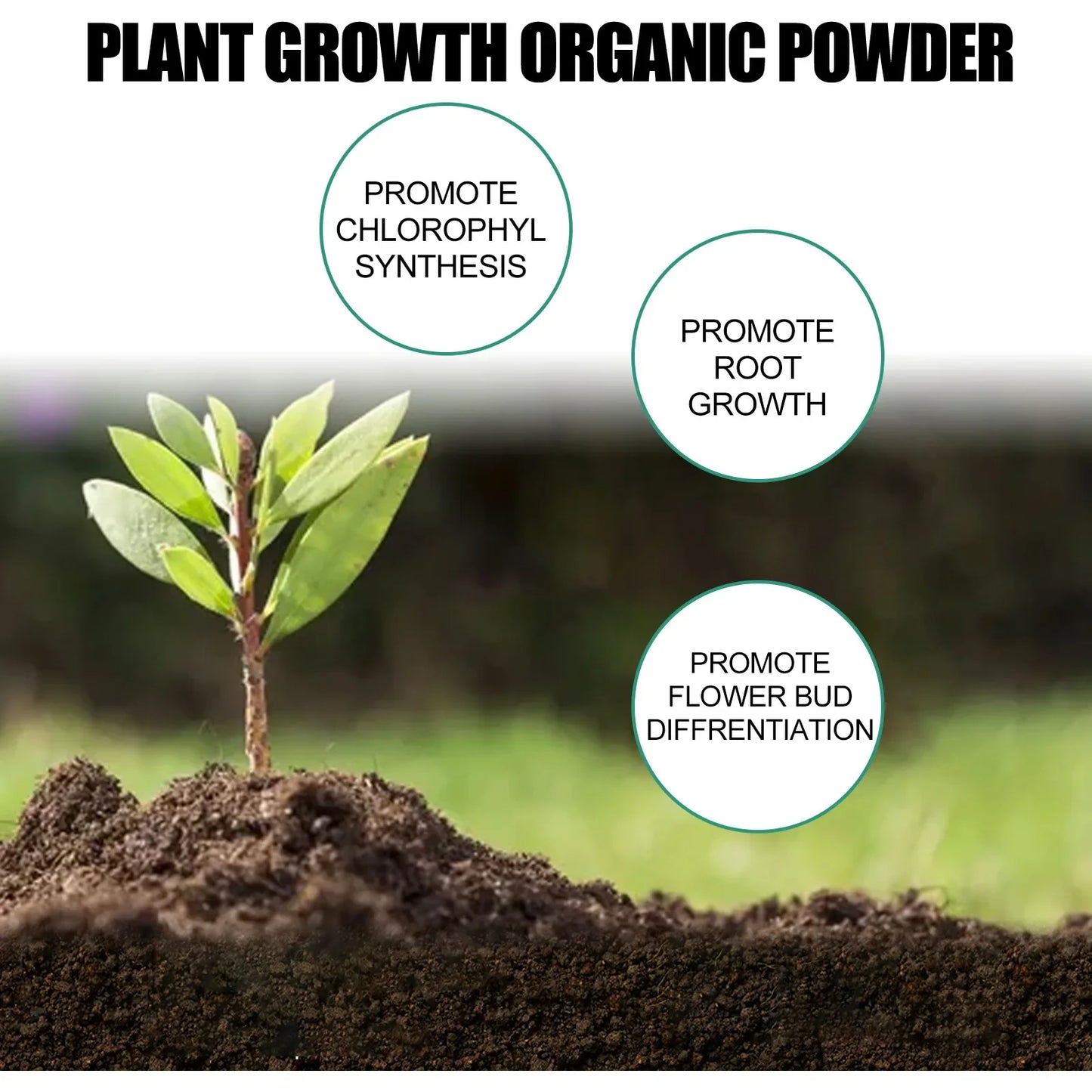 Fast Rooting Powder Plant Soil Improvement Loosening Promote Plant Growth Hydroponics Vegetable Garden Tools Rooting Fertilizer