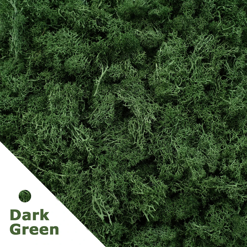 Artificial Green Plants Moss Grass Home Living Room Garden Decoration Mini Landscape Fake Flower DIY Crafts