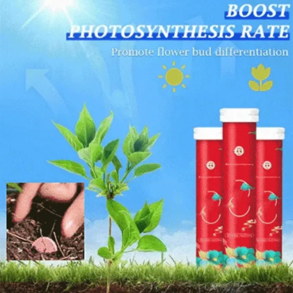 Home Gardening Universal Slow-Release Tablet Organic-Fertilizer Indoor Flower Plant Concentrated Fertilizers For Succulent