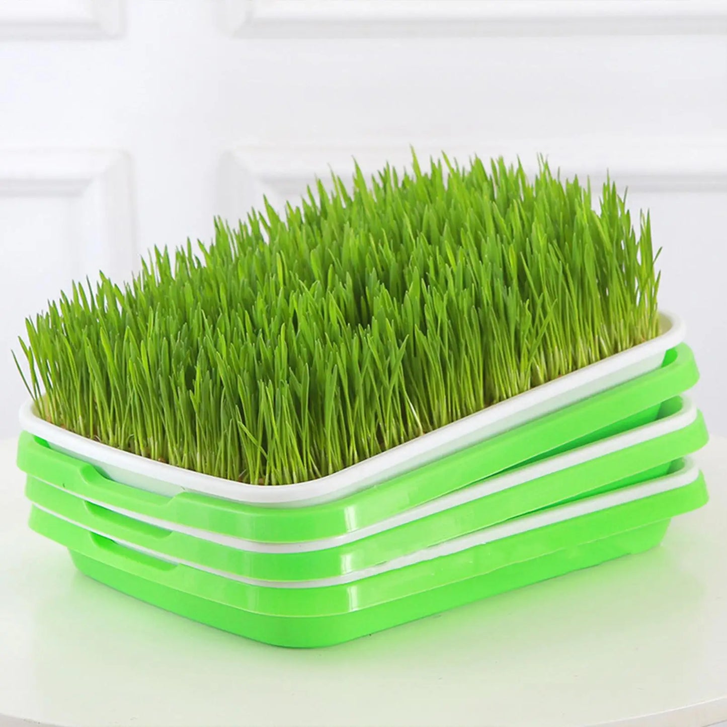 Germination Tray Reusable Plant Tray Hydroponic Propagators For Indoor Gardening Catcher Trimming Breeding Flower Grass Watering