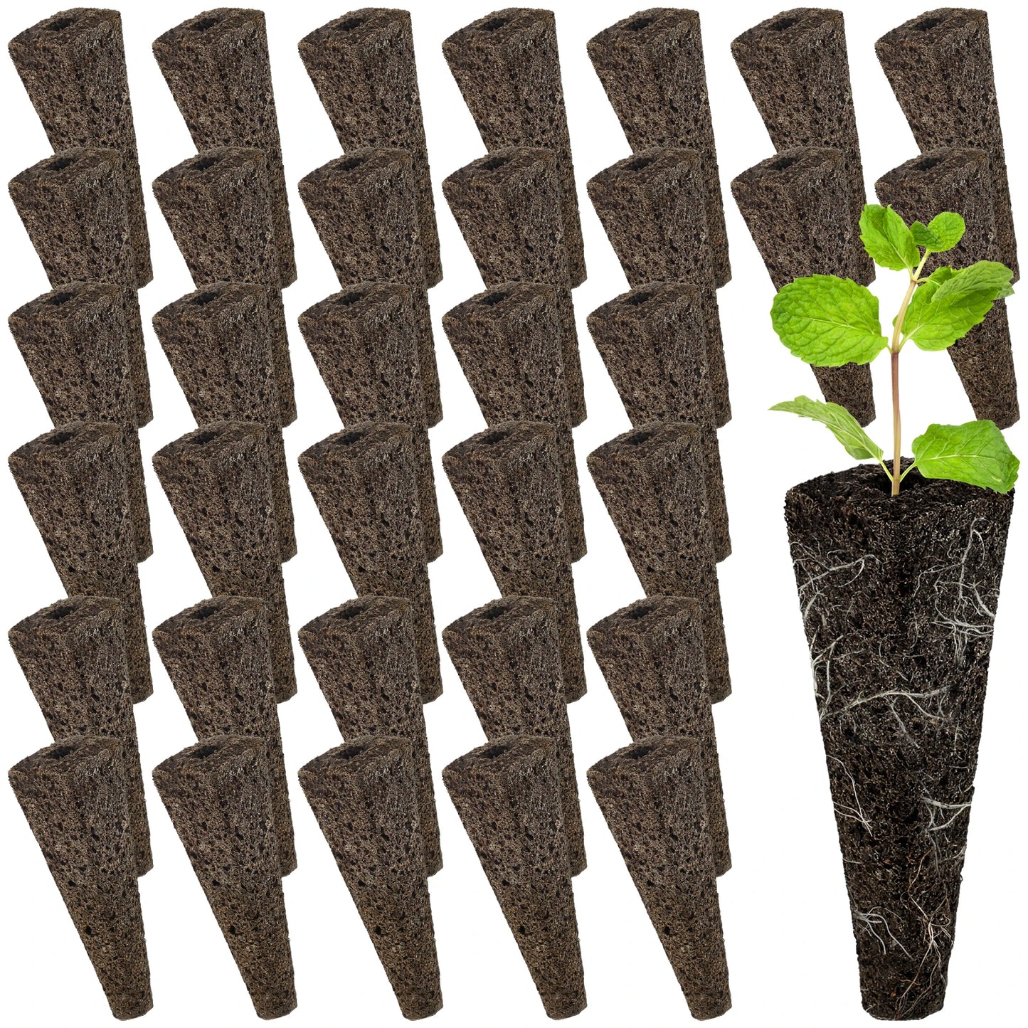 50/100Pcs Seed Grow Sponges Replacement Root Hydroponics Indoor Garden System Sponges Water Absorbent Grow Pod Kit