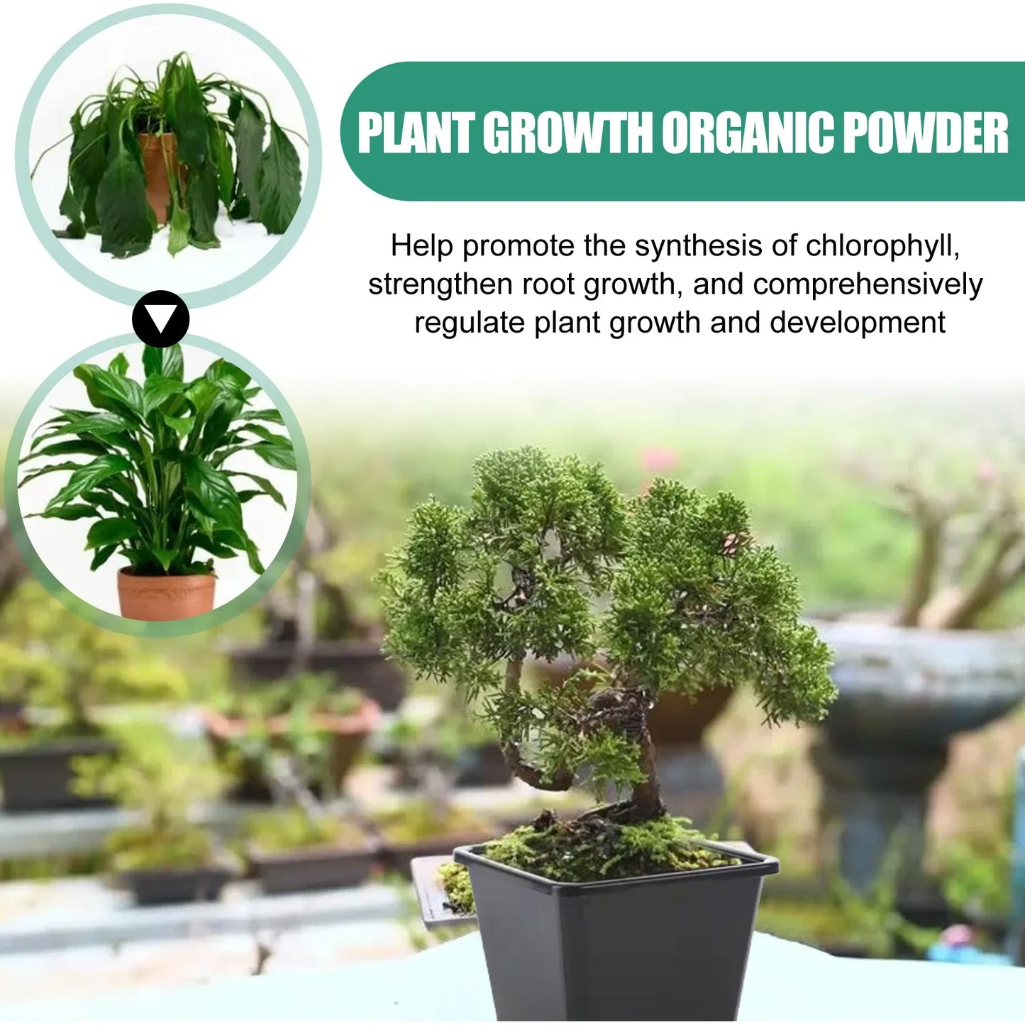 Fast Rooting Powder Plant Soil Improvement Loosening Promote Plant Growth Hydroponics Vegetable Garden Tools Rooting Fertilizer