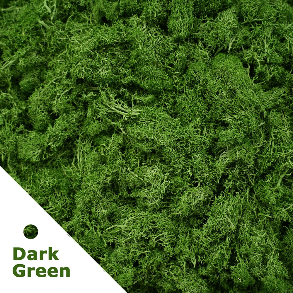 Artificial Green Plants Moss Grass Home Living Room Garden Decoration Mini Landscape Fake Flower DIY Crafts