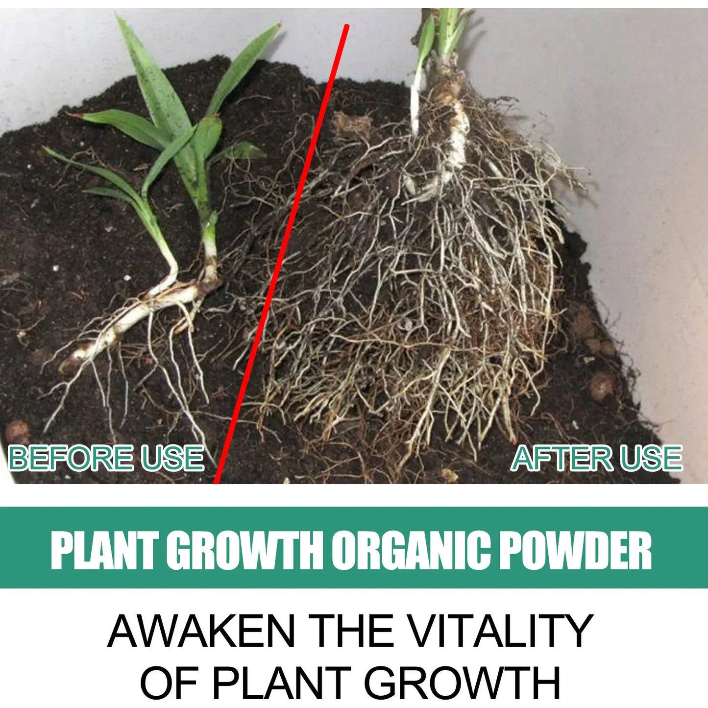 Fast Rooting Powder Plant Soil Improvement Loosening Promote Plant Growth Hydroponics Vegetable Garden Tools Rooting Fertilizer