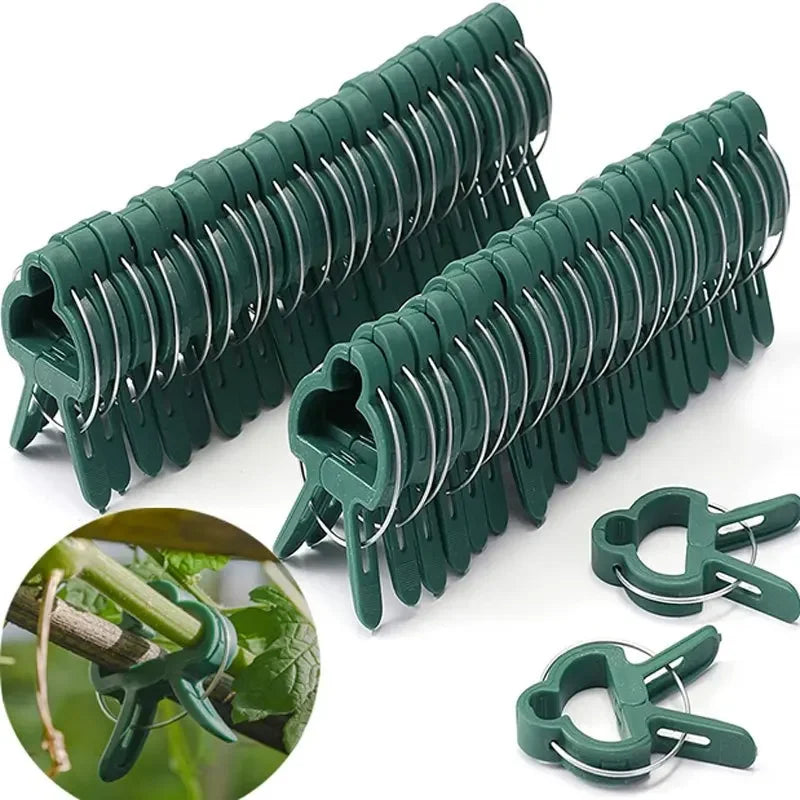 25Pcs Plant Fixed Clips Reusable Garden  Greenhouse Bracket for Fixed Plants Vine Flower  Seedling Stem Suppor t Garden Supplies