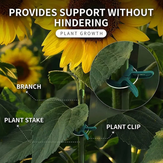 25Pcs Plant Fixed Clips Reusable Garden  Greenhouse Bracket for Fixed Plants Vine Flower  Seedling Stem Suppor t Garden Supplies